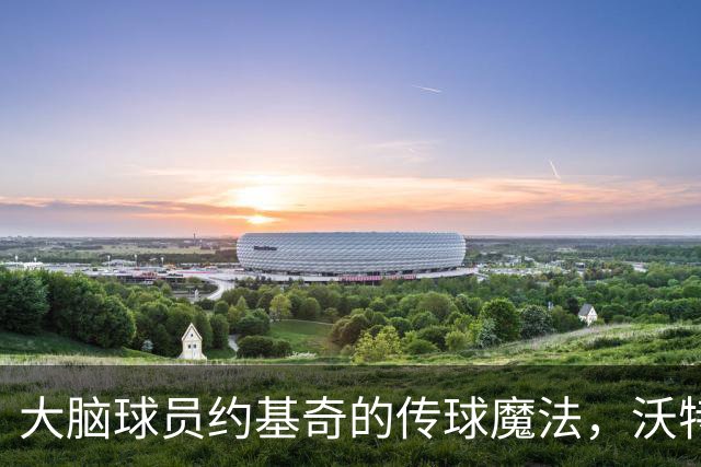 大脑球员约基奇的传球魔法，沃特森的“定位技巧
